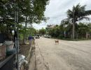 ขายที่ดิน - ขายที่ดินซอยท่าอิฐ (รหัสทรัพย์ 202528) ต.ท่าอิฐ อ.เมืองนนทบุรี จ.นนทบุรี