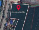 ขายที่ดิน - ที่ดินที่นาสรรคบุรี ชัยนาทติดถนนใหญ่340(สุพรรณบุรีบุรี-ชัยนาท)เนื้อที่6ไร่+ย่านชุมชนใก้ลแม็คโคร,โลตัส ข้างโรงสี เหมาะทำโกดัง,ปั๊มน้ำมัน