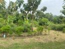 ขายที่ดิน - ที่ดินสวนผสมผสาน นครนายก 1 ไร่ ต้นไม้เยอะมีน้ำไฟฟ้า ราคาถูก