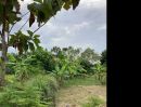 ขายที่ดิน - ที่ดินสวนผสมผสาน นครนายก 1 ไร่ ต้นไม้เยอะมีน้ำไฟฟ้า ราคาถูก