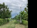 ขายที่ดิน - ที่ดินสวนผสมผสาน นครนายก 1 ไร่ ต้นไม้เยอะมีน้ำไฟฟ้า ราคาถูก