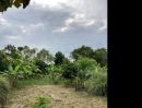 ขายที่ดิน - ที่ดินสวนผสมผสาน นครนายก 1 ไร่ ต้นไม้เยอะมีน้ำไฟฟ้า ราคาถูก