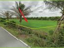 ขายที่ดิน - ขายต่ำกว่าทุน! ที่ดินบนถนนฤชุพันธุ์ ถนนบางบัวทอง