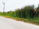 ขายที่ดิน - ขายที่ดินธัญบุรี ลำผักกูด คลอง8 ปทุมธานี 70ตรว 2แปลงติดกัน