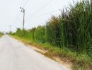 ขายที่ดิน - ขายที่ดินธัญบุรี ลำผักกูด คลอง8 ปทุมธานี 70ตรว 2แปลงติดกัน