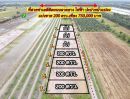 ขายที่ดิน - ขายที่ดินทำเลดี คลอง 8 เนื้อที่ 200 ตรว .หนองเสือ ปทุมธานี