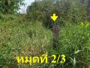 ขายที่ดิน - ที่ดิน ซอยสุวินทวงศ์ 28 แยก 26 ขนาด 150 ตร.ว. เขตมีนบุรี กรุงเทพ ติดคลอง