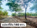 ขายที่ดิน - ขายที่ดินตำบลสันกำแพงวิวน้ำติดลำห้วยโฉนดพร้อมโอน