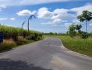 ขายที่ดิน - ขายที่ดินแปลงสวย เขตหนองเสือช้าง หนองใหญ่ ชลบุรี