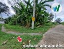 ขายที่ดิน - ขายที่ดิน มโนรมย์ ชัยนาท 8ไร่ 2 งาน 49 ตร.ว.ท มีน้ำไฟ ผ่านหน้าที่ ห่างจากถนนหลักพหลโยธินไม่ถึง 10 นาที