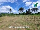 ขายที่ดิน - ขายที่ดิน มโนรมย์ ชัยนาท 8ไร่ 2 งาน 49 ตร.ว.ท มีน้ำไฟ ผ่านหน้าที่ ห่างจากถนนหลักพหลโยธินไม่ถึง 10 นาที