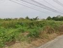 ขายที่ดิน - ที่ดินวัดหนองปรง ที่ดินเมืองปทุมธานี ที่ดินบางเดื่อ ห่างถนนใหญ่กรุงเทพปทุมธานี 1.5 กม. ใกล้ถนนราชพฤกษ์ แยกต่างระดับวัดไพร่ฟ้า