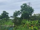 ขายที่ดิน - ขายที่ดิน หมู่บ้านนพวงศ์ ถนนปทุมธานี-บางเลน อำเภอลาดหลุมแก้ว ปทุมธานี