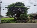 ขายที่ดิน - ขายที่ดินติดถนนหลักตำบลหนองจ๊อมสันทรายพร้อมโอน