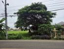 ขายที่ดิน - ขายที่ดินติดถนนหลักตำบลหนองจ๊อมสันทรายพร้อมโอน