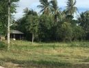 ขายที่ดิน - ขายที่ดินวิวธรรมชาติ เจ้าของขายเอง 1 ไร่ 2 งาน ตำบลเขากระปุก อำเภอท่ายาง