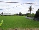 ขายที่ดิน - ที่ดินที่นาสรรคบุรี ชัยนาทติดถนนใหญ่340(สุพรรณบุรีบุรี-ชัยนาท)เนื้อที่6ไร่+ย่านชุมชนใก้ลแม็คโคร,โลตัส ข้างโรงสี เหมาะทำโกดัง,ปั๊มน้ำมัน