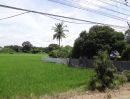 ขายที่ดิน - ที่ดินที่นาสรรคบุรี ชัยนาทติดถนนใหญ่340(สุพรรณบุรีบุรี-ชัยนาท)เนื้อที่6ไร่+ย่านชุมชนใก้ลแม็คโคร,โลตัส ข้างโรงสี เหมาะทำโกดัง,ปั๊มน้ำมัน