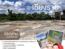 ขายที่ดิน - ขายด่วน ที่ดินพาณิชย์ทองคำ ตรงข้ามวัดร่องขุ่น จ.เชียงราย