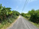 ขายที่ดิน - ขายที่ดินชลบุรี แปลงสวย เขตบางแสน ถนนมิตรสัมพันธ์ บ้านปึก