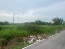 ขายที่ดิน - ขายถูก ดินถนนบางกรวย-ไทรน้อย 49 ตารางวา ติดถนนลาดยางสาธารณะ ซอย เทพประทาน 1 จ.นนทบุรี