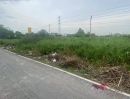 ขายที่ดิน - ขายถูก ดินถนนบางกรวย-ไทรน้อย 49 ตารางวา ติดถนนลาดยางสาธารณะ ซอย เทพประทาน 1 จ.นนทบุรี