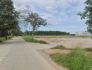 ขายที่ดิน - ขายที่ดินนาวังหิน 46 ไร่ ติดถนนเส้นตลาดน้ำ3วัง ใกล้ถนน331-1กม. อ.พนัสนิคม ชลบุรี