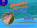 ขายที่ดิน - ที่ดิน+พร้อมรับสร้างโกดัง โรงงาน ออฟฟิศใหม่ ย่านบางบัวทอง นนทบุรี 340