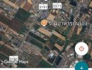ขายที่ดิน - ที่ดินเปล่า95ไร่ ติดถถน3375ต.นิคมพัฒนาอ.นิคมพัฒนาจ.ระยอง
