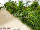ขายที่ดิน - ที่ดินหนองดินแดง 2 ไร่ นครปฐม ใกล้เซ็นทรัลนครปฐม