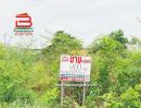 ขายที่ดิน - ที่ดิน แปลงสวย ซอยเอราวัณ 21 เนื้อที่ 2 ไร่ ถนนเอราวัณ 1 อ.คลองหลวง จ.ปทุมธานี
