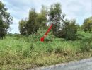 ขายที่ดิน - ที่ดินเปล่า 1 ไร่ ซอย เสวัลลพ คลองหก ปทุมธานี