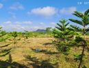 ขายที่ดิน - ขายสวนผสมบ่อปลา ไฟฟ้าน้ำประปาพร้อม วิวสวยเหมาะทำบ้านสวน บ้านพักตากอากาศ