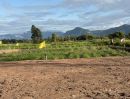 ขายที่ดิน - บ้านสวนทิวเขานครนายกวิวเขาสวยทำบ้านสวนรีสอร์ทคาเฟ่อากาสดีถนนคอนกรีตมีเพื่อนบ้านน้ำไฟพร้อม83-100ตรว790000ผ่อนได้3ปีฟรีดอกเบี้ยใช้บัตปชช.ใบเดียวโฉนดจริง