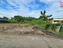ขายที่ดิน - ขายที่ดินถมแล้ว 55ตร.ว. ลาดพร้าว101 ราคาถูก ทำเลดี เดินทางสะดวก