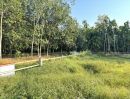 ขายที่ดิน - ขาย ที่ดินเปล่าสี่เหลี่ยมผืนผ้า แปลงมุม โฉนดครุฑแดง ต.บางบุตร บ้านค่าย-ระยอง