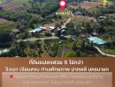 ขายที่ดิน - ขายที่ดินปากพลี นครนายก 5 ไร่กว่า หน้ากว้างพิเศษ 165 ม. ติดถนนลาดยาง วิวเขา
