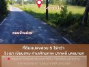 ขายที่ดิน - ขายที่ดินปากพลี นครนายก 5 ไร่กว่า หน้ากว้างพิเศษ 165 ม. ติดถนนลาดยาง วิวเขา