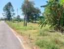 ขายที่ดิน - ที่ดินแปลงสวย ติดถนนลาดยาง มีไฟฟ้า ราคาถูก หนองกี่ บุรีรัมย์