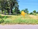 ขายที่ดิน - ที่ดินแปลงสวย ติดถนนลาดยาง มีไฟฟ้า ราคาถูก หนองกี่ บุรีรัมย์
