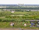 ขายที่ดิน - ที่ดินคลอง 11 หนองเสือ ปทุมธานี แปลงเล็กราคาถูก 100 ตรว. เพียง 360,000 บาท