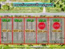 ขายที่ดิน - ที่ดินคลอง 9 หนองเสือ ปทุมธานี 200 ตรว. ราคาถูก ทำเลอนาคต เหมาะปลูกบ้าน ทำโกดัง ฟรีค่าโอน