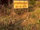 ขายที่ดิน - ขายที่ดิน ติด 4 เลน ตากฟ้า นครสวรรค์ 21 ไร่ 2 งาน