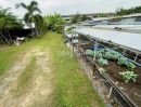 ขายที่ดิน - ที่ดิน 198 ตรว. ถมแล้วแปลงสวย รามอินทรา สุขาภิบาล 5 เข้า ออกได้หลายเส้นทาง