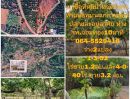 ขายที่ดิน - ขายที่ดินถมแล้ว 4-0-40 ไร่ น้ำไม่ท่วม เหมาะแก่การทำสวนและปลูกบ้าน ต.หนองปลาสะวาย อ.บ้านโฮ่ง จ.ลำพูน