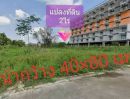 ขายที่ดิน - ขายที่ดินเปล่า 2 ไร่ ทำเลดี ซอยบางนาการ์เด้น 13 ใกล้ ม.เอแบคบางนา