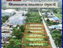 ขายที่ดิน - ขายที่ดินคลองสาม คลองหลวง ปทุมธานี เปิดแปลงใหม่ ราคาดี 100 ตารางวา เพียง 850,000 บาท