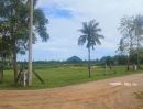 ขายที่ดิน - ขายด่วน ที่ดินในโครงการจัดสรร พื้นที่แหล่งท่องเที่ยว