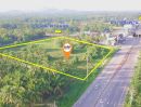 ขายที่ดิน - ขายด่วน ที่ดินติดถนนทางหลวงใกล้สี่แยกโจ่ย อ.บางสะพานน้อย