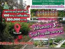 ขายที่ดิน - ที่ดินใกล้ ร้านพี่ยาคนรุม ที่ดินคลอง3 คลองหลวง ปทุมธานี100 ตร.ว เพียง 8.5แสน เท่านั้น
